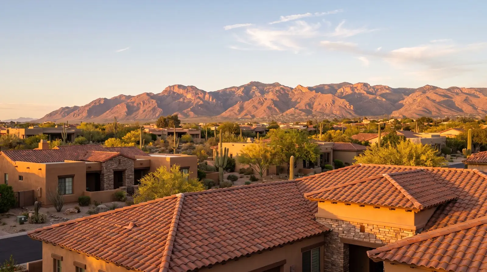 Tile roofs on Tucson homes with saguaros and the Santa Catalina Mountains behind them